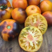 Lucid Gem Alacalı İçi Turuncu Domates Tohumu(15 tohum) - 1