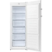 Samsung RZ20BG3000WW/TR 6 Çekmeceli Derin Dondurucu - 4