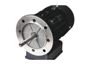 Gemaş STREAMER 2010 Havuz Pompası STRN-350M 3,5 HP, Monofaze-Pool Pump-ToptancıyızBiz - 5