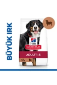 Hills Adult Large Breed Kuzu Etli Büyük Irk Yetişkin Köpek Maması 14 Kg - 1
