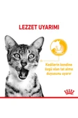 Royal Canin Sensory Taste Pouch Yaş Kedi Maması 85 Gr thumbnail 3