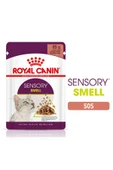 Royal Canin Sensory Smell Pouch Yaş Kedi Maması 85 Gr thumbnail 2