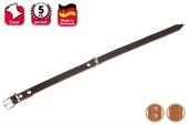Karlıe Deri Boyun Tasma Perçinli 24 Cm K.Rengi - 2