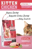 Pro Perfeck Premium Tavuklu Narlı Havuçlu Yavru Kedi Maması 2 KG - 1