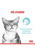 Royal Canin Sensory Feel Pouch Yaş Kedi Maması 85 Gr - 3