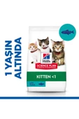 Hills Kitten Ton Balıklı Yavru Kedi Maması 1,5 Kg - 5
