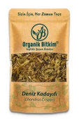 Organik Bitkim Deniz Kadayıfı (Chondrus Crispus) 100 gr - 1