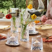 Paşabahçe leafy 16 parça su meşrubat bardağı seti takımı özel seri su bardak takımı - 2