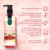 Frambuaz Sirke Şampuan 100 ML X 3 ve Saç Kremi Hediyeli - 2