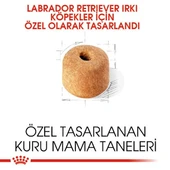 Royal Canin Labrador Retriever Adult Yetişkin Köpek Maması 12 Kg thumbnail 8