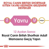 Royal Canin British Shorthair Kitten Yavru Kedi Maması 2 Kg thumbnail 5
