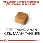 Royal Canin Persian Kitten Yavru İran Kedi Maması 2 Kg - 8