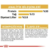 Royal Canin Labrador Retriever Adult Yetişkin Köpek Maması 12 Kg thumbnail 6