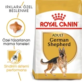 Royal Canin German Shepherd Adult Yetişkin Köpek Maması 11 Kg - 1
