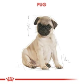 Royal Canin Pug Puppy Yavru Köpek Maması 1,5 Kg - 8