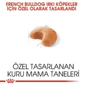 Royal Canin French Bulldog Adult Yetişkin Köpek Maması 3 Kg thumbnail 7