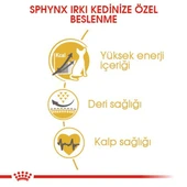 Royal Canin Sphynx Adult Tüysüz Yetişkin Kedi Maması 2 Kg - 4