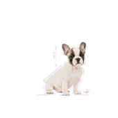 Royal Canin French Bulldog Puppy Yavru Köpek Maması 3 Kg thumbnail 3