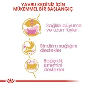 Royal Canin Persian Kitten Yavru İran Kedi Maması 2 Kg - 4