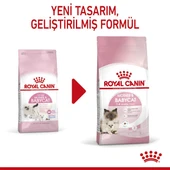 Royal Canin Mother & Babycat Anne ve Yavru Kedi Maması 2 Kg thumbnail 4