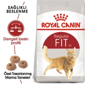 Royal Canin Fit 32 Yetişkin Kedi Maması 2 Kg thumbnail 1