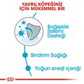 Royal Canin Mini Puppy Küçük Irk Yavru Köpek Maması 4 Kg thumbnail 4