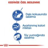 Royal Canin Indoor 27 Ev Kedileri İçin Yetişkin Kedi Maması 400 Gr - 4