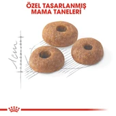 Royal Canin Fit 32 Yetişkin Kedi Maması 10 Kg - 5