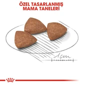 Royal Canin Mini Indoor Adult Küçük Irk Yetişkin Köpek Maması 1,5 Kg thumbnail 7