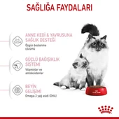 Royal Canin Mother & Babycat Anne ve Yavru Kedi Maması 2 Kg thumbnail 5