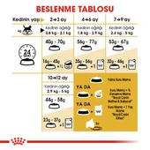 Royal Canin British Shorthair Kitten Yavru Kedi Maması 2 Kg thumbnail 6