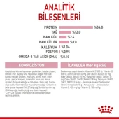 Kitten Steril Yavru Kedi Maması 2 Kg - 8