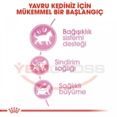 Royal Canin Kitten Yavru Kedi Maması 10 Kg thumbnail 5