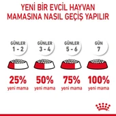 Royal Canin Hair & Skin Care Yetişkin Kedi Maması 2 Kg - Tüy ve Deri Sağlığı İçin Özel Formül - 6