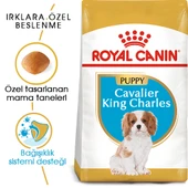 Royal Canin Cavalier King Charles Puppy Yavru Köpek Maması 1,5 Kg thumbnail 1