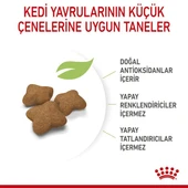 Kitten Steril Yavru Kedi Maması 2 Kg thumbnail 7