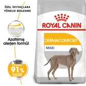 Royal Canin Maxi Dermacomfort Adult Yetişkin Köpek Maması 12 Kg thumbnail 1