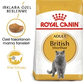 Royal Canin British Shorthair Adult Yetişkin Kedi Maması 10 Kg thumbnail 1