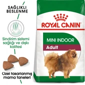 Royal Canin Mini Indoor Adult Küçük Irk Yetişkin Köpek Maması 1,5 Kg thumbnail 1