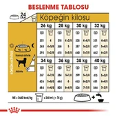 Royal Canin Labrador Retriever Adult Yetişkin Köpek Maması 12 Kg thumbnail 5