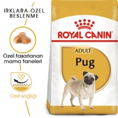 Royal Canin Pug Adult Yetişkin Köpek Maması 1,5 Kg thumbnail 1