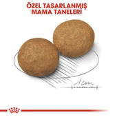 Royal Canin Medium Adult Orta Irk Yetişkin Köpek Maması 15 Kg - 5