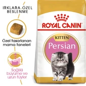 Royal Canin Persian Kitten Yavru İran Kedi Maması 2 Kg thumbnail 1