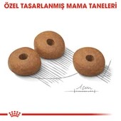 Royal Canin Mini Light Weight Care Küçük Irk Diyet Köpek Maması 3 Kg - 5
