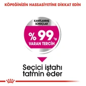 Royal Canin Mini Exigent Küçük Irk Yetişkin Köpek Maması 3 Kg thumbnail 4