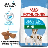 Royal Canin Mini Starter Küçük Irk Anne ve Yavru Köpek Maması 4 Kg thumbnail 1