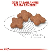 Royal Canin Mini Adult 8+ Küçük Irk Yetişkin Yaşlı Köpek Maması 2 Kg - 5