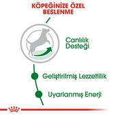 Royal Canin Mini Adult 8+ Küçük Irk Yetişkin Yaşlı Köpek Maması 2 Kg thumbnail 7