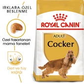 Royal Canin Cocker Adult Yetişkin Köpek Maması 3 Kg thumbnail 1