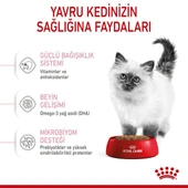 Royal Canin Kitten Yavru Kedi Maması 2 Kg thumbnail 5